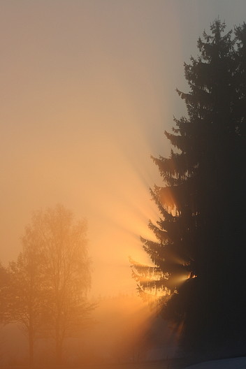 Morgensonne und Nebel