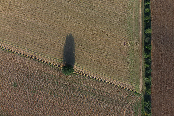 Schatten eines Baum in der Kulturlandschaft
