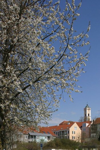 Bad Birnbach