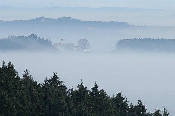 Nebellandschaft