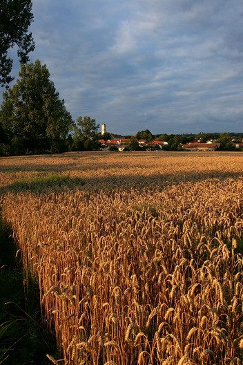 Bad Birnbach