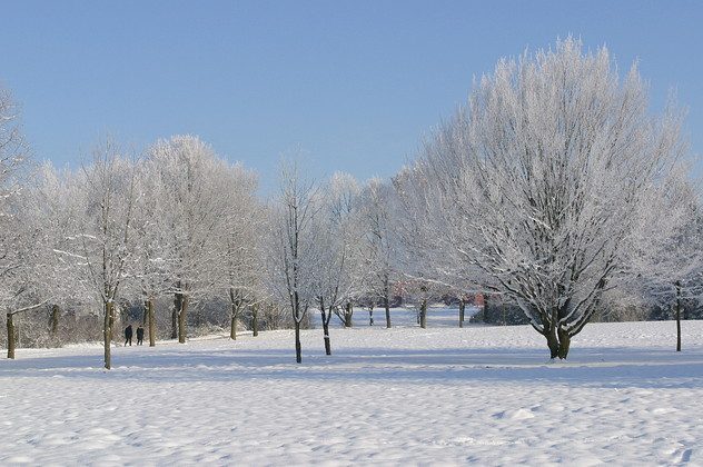 Wintertag im Kurpark