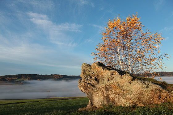 Krokodilfelsen