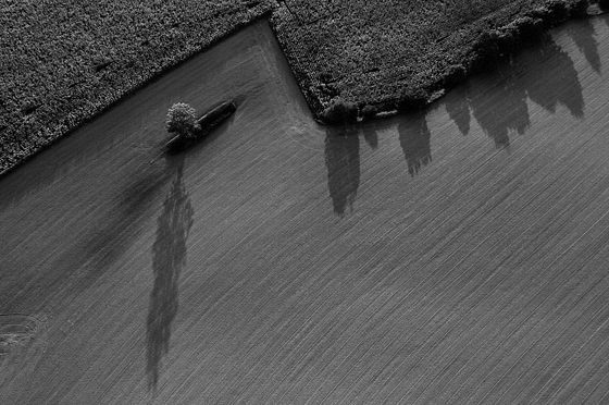Baumschatten (A)