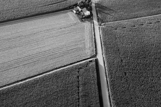 Wege zum Haus zwischen den Feldern (A)