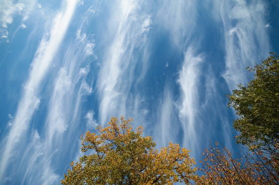 Federwolken im Herbst