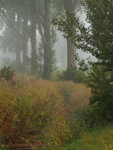 Es herbst`lt