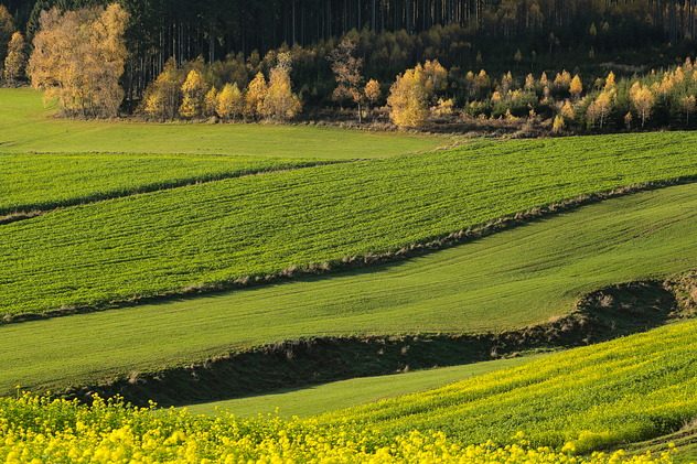 Herbst im Rottal